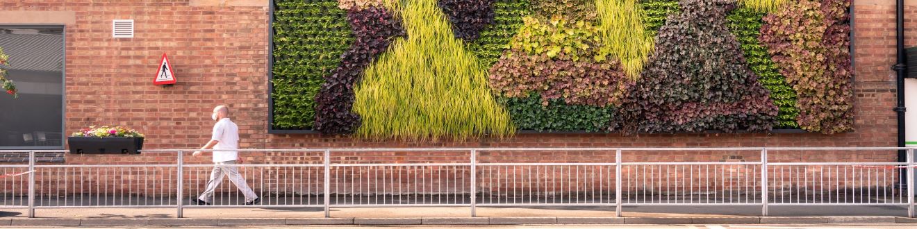 Undergraduate Programme Business and Project Management